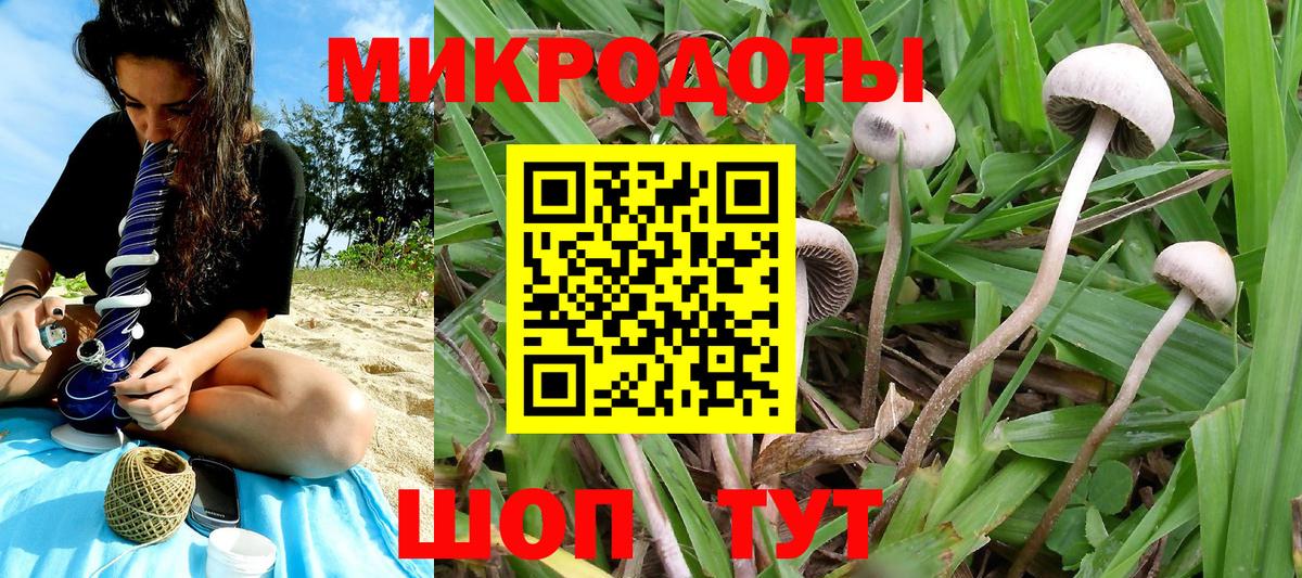 Псилоцибиновые грибы мицелий Асбест