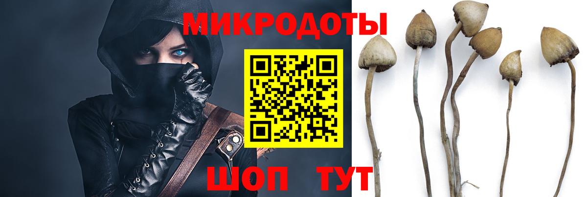 закладка  Вход с VPN  Асбест  Галлюциногенные грибы мухоморы 
